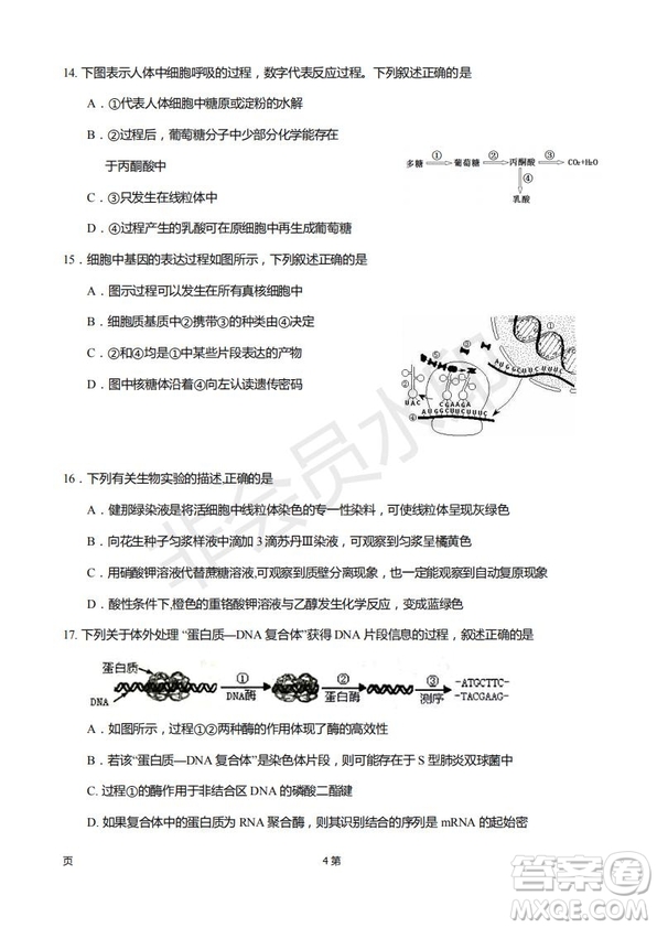 2019屆福建省廈門外國語學(xué)校高三11月月考生物試題及答案