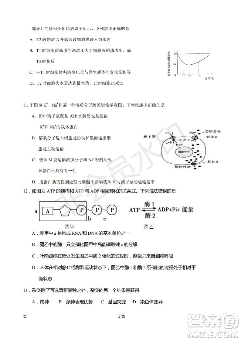 2019屆福建省廈門外國語學(xué)校高三11月月考生物試題及答案