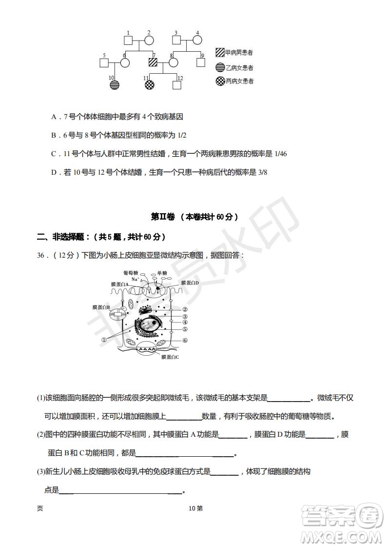 2019屆福建省廈門外國語學(xué)校高三11月月考生物試題及答案