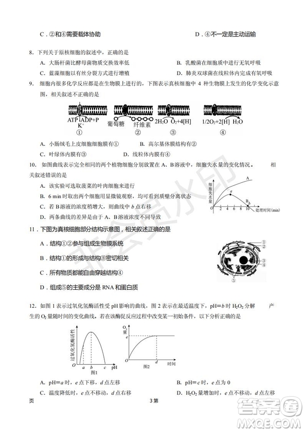 2019屆甘肅省靜寧縣第一中學(xué)高三上學(xué)期第三次模擬考試生物試題及答案