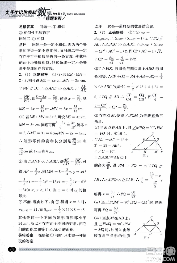 2018年尖子生培優(yōu)教材錯題專訓九年級全一冊數(shù)學參考答案