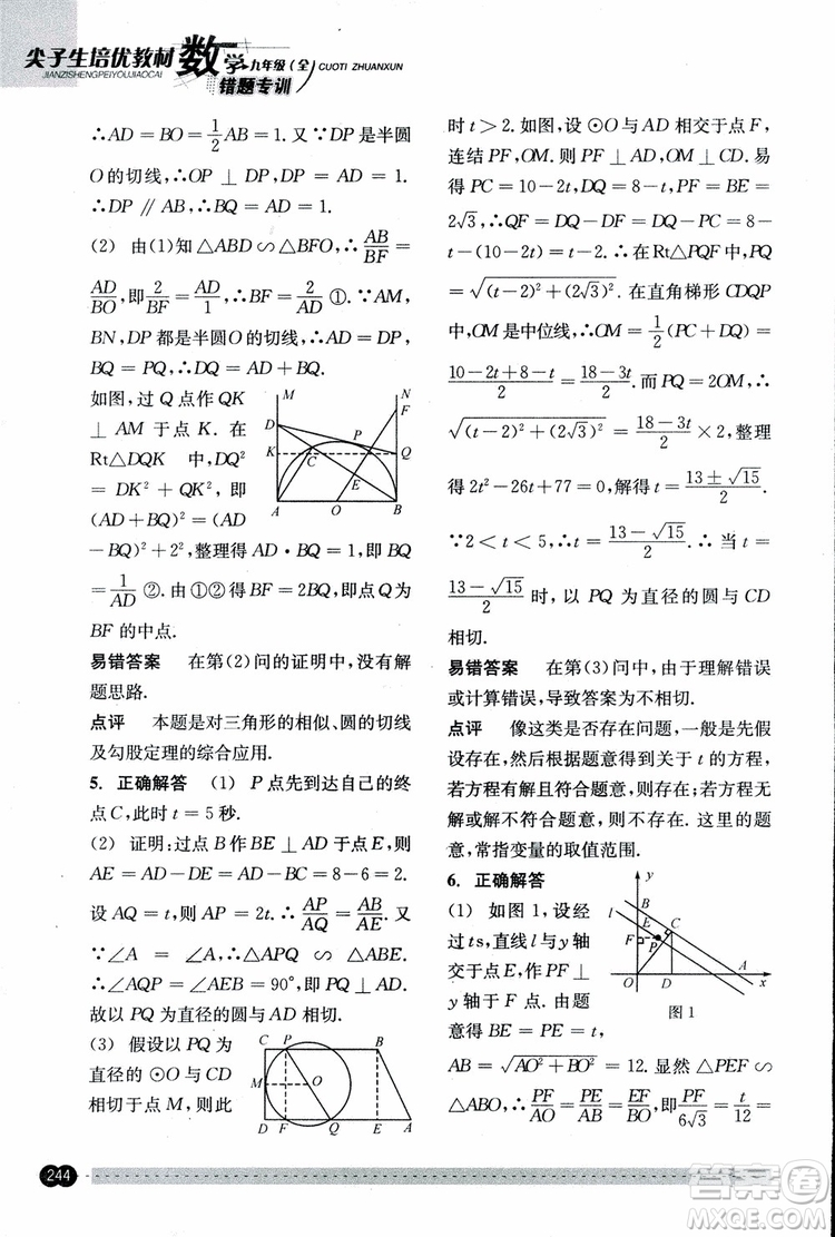 2018年尖子生培優(yōu)教材錯題專訓九年級全一冊數(shù)學參考答案