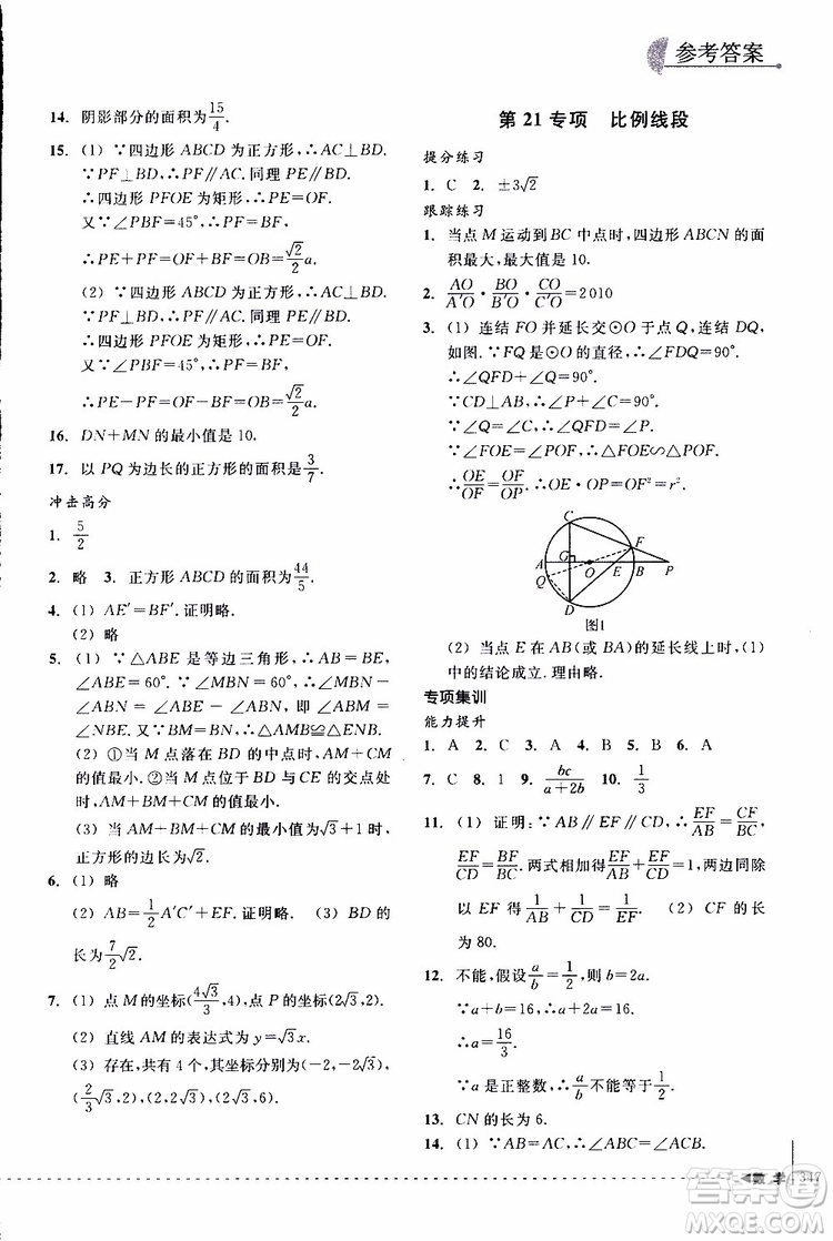 2018年尖子生培優(yōu)教材專項集訓數(shù)學初中綜合版參考答案