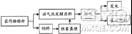 山東省實(shí)驗(yàn)中學(xué)2019屆高三12月模擬語文試題及答案