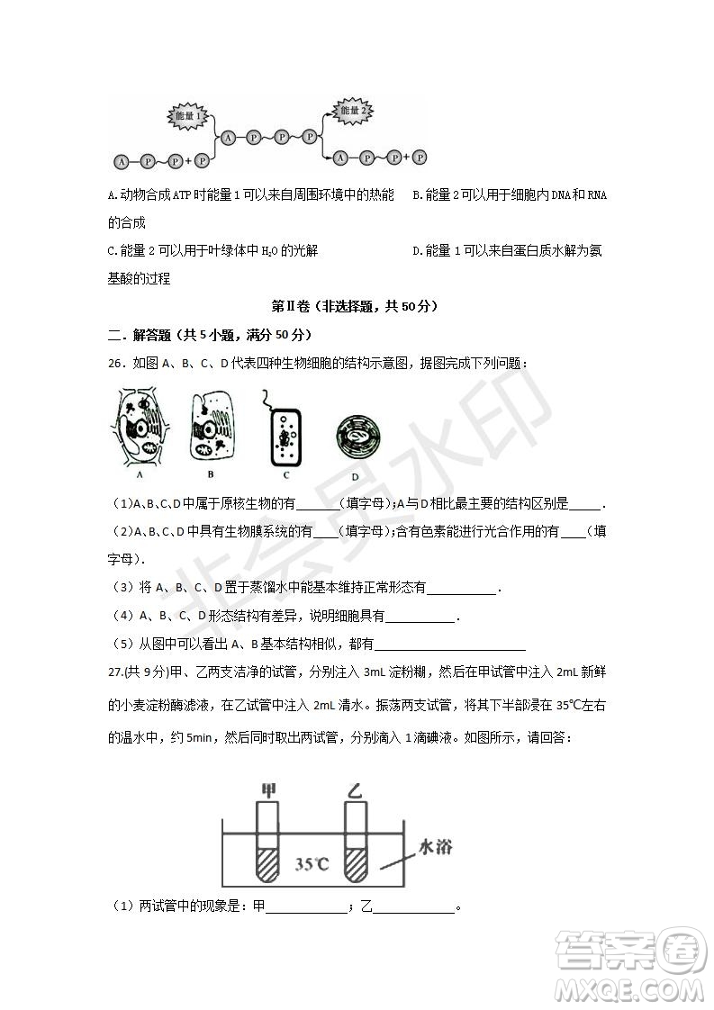 2018-2019學(xué)年四川省棠湖中學(xué)高一上學(xué)期第三次月考生物試題及答案