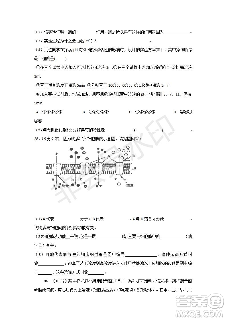 2018-2019學(xué)年四川省棠湖中學(xué)高一上學(xué)期第三次月考生物試題及答案