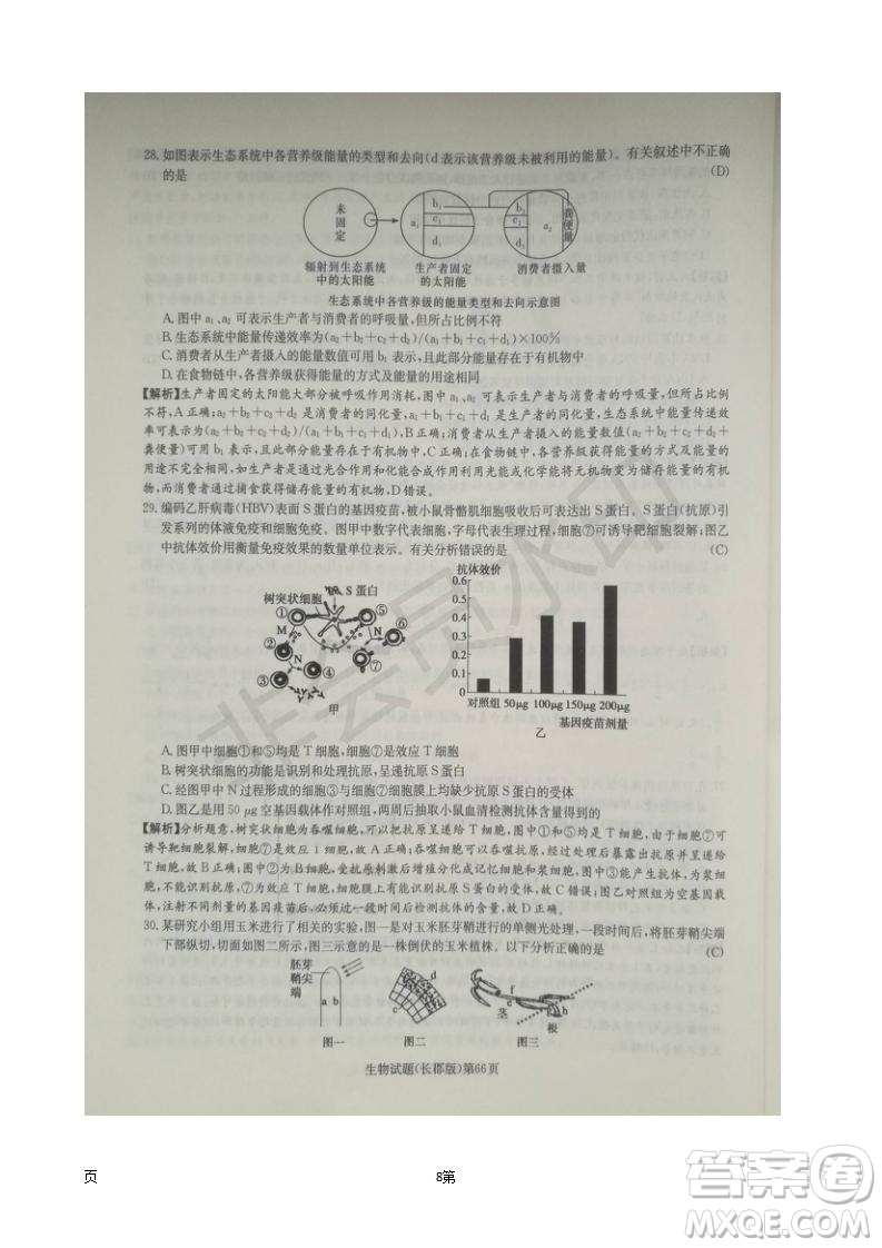 湖南長郡中學(xué)2019屆高三月考試卷五生物試題及答案解析