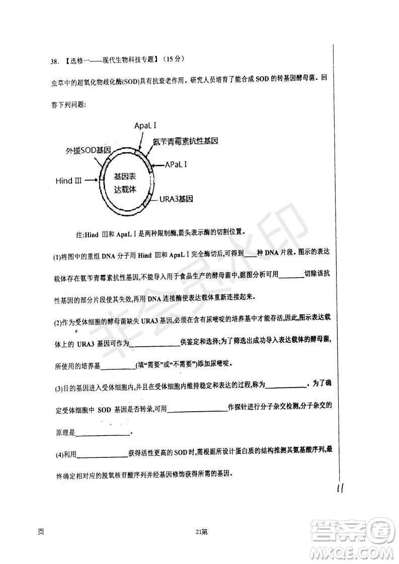 2019屆河北省衡水中學(xué)高三上學(xué)期七調(diào)考試?yán)砜凭C合試題及答案