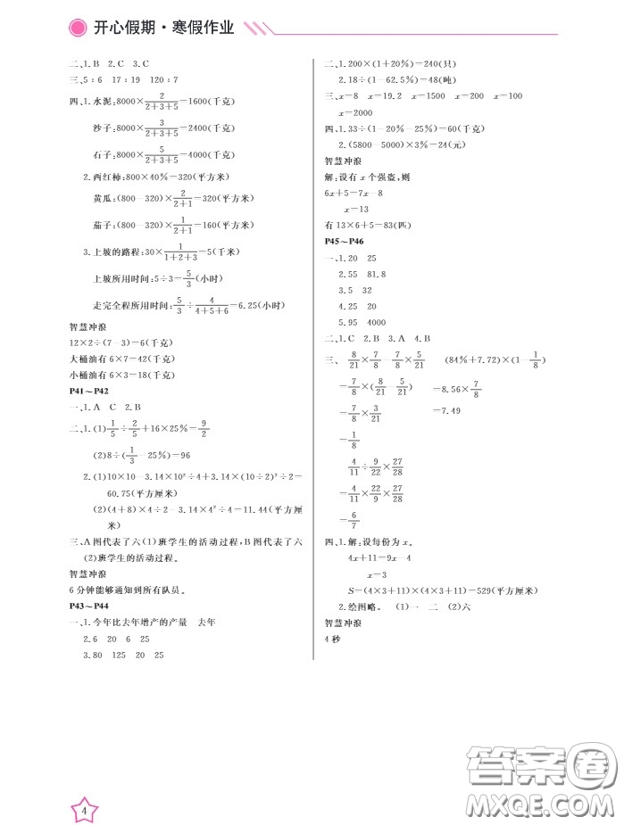 武漢出版社2020春季開(kāi)心假期寒假作業(yè)六年級(jí)數(shù)學(xué)B版答案