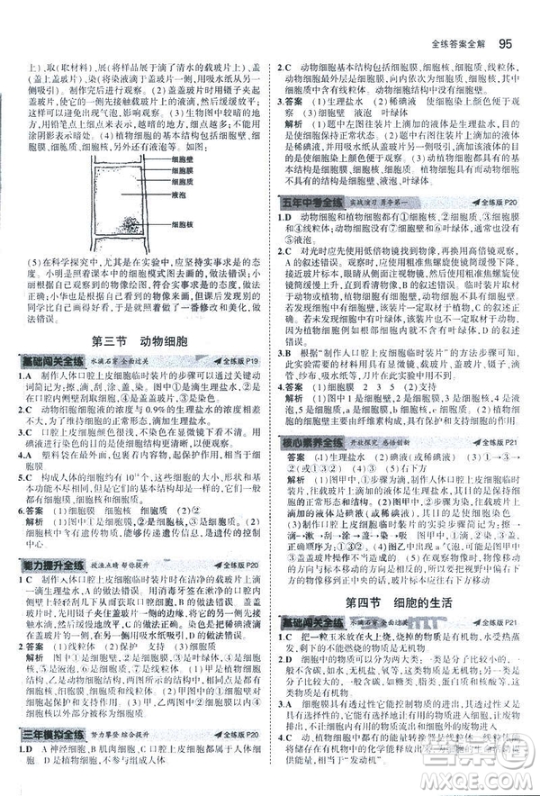 2019新版5年中考3年模擬七年級上冊生物人教版RJ參考答案