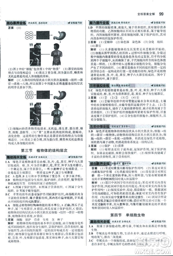 2019新版5年中考3年模擬七年級上冊生物人教版RJ參考答案