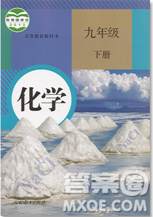 2019年初中九年級(jí)下冊(cè)化學(xué)書(shū)人教版課本教材教科書(shū)參考答案