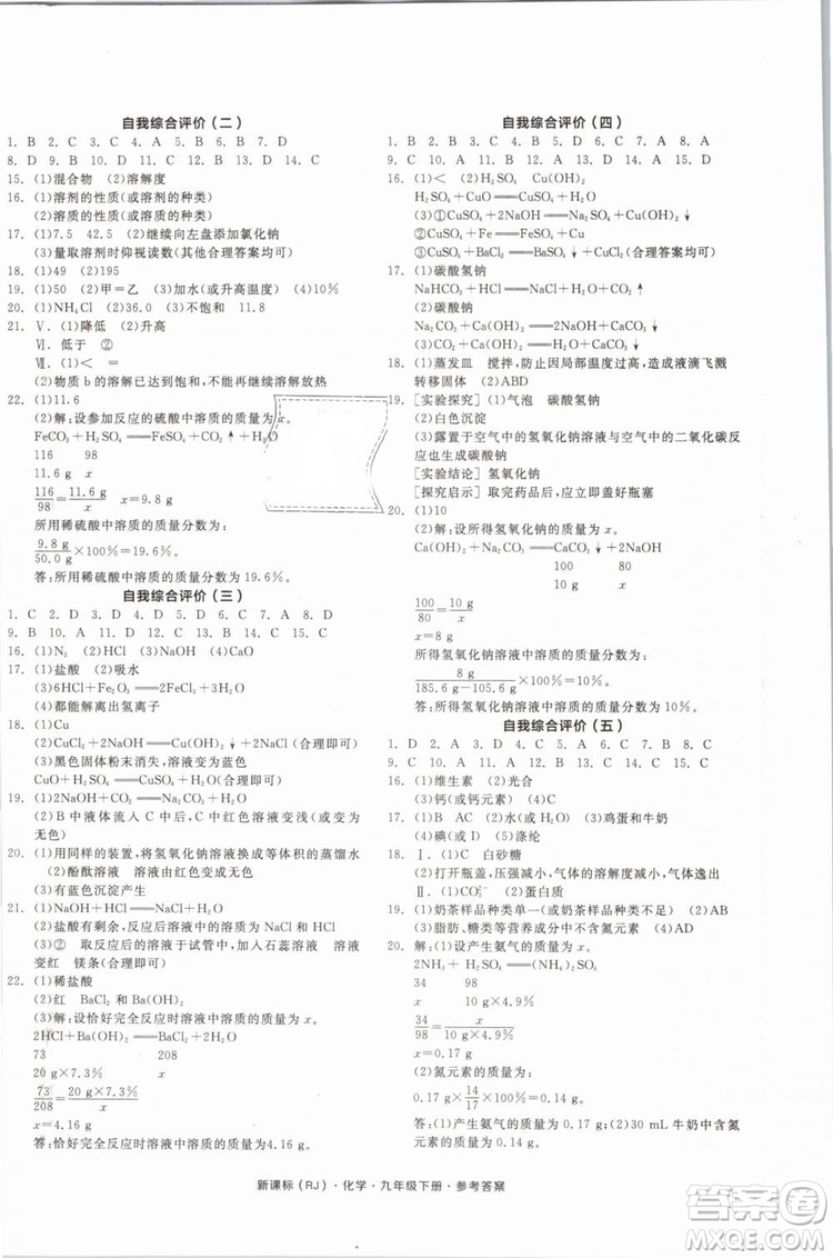 2019人教版全品作業(yè)本九年級化學(xué)下冊新課標(biāo)RJ陽光出版社參考答案