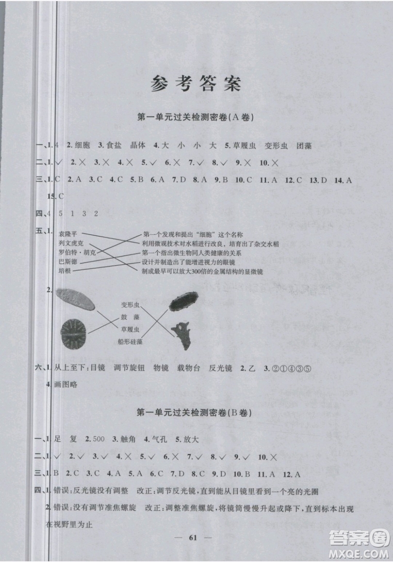 2019新版陽光同學六年級下冊試卷科學一線名師全優(yōu)好卷JK教科版參考答案