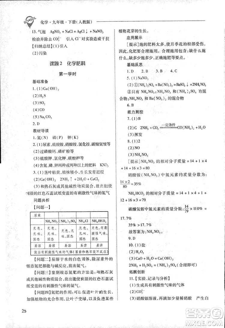 2019新課程問題解決導(dǎo)學(xué)方案九年級下冊化學(xué)人教版答案