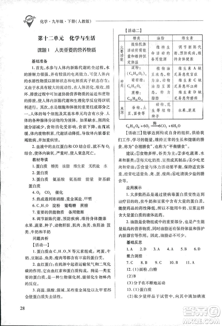 2019新課程問題解決導(dǎo)學(xué)方案九年級下冊化學(xué)人教版答案