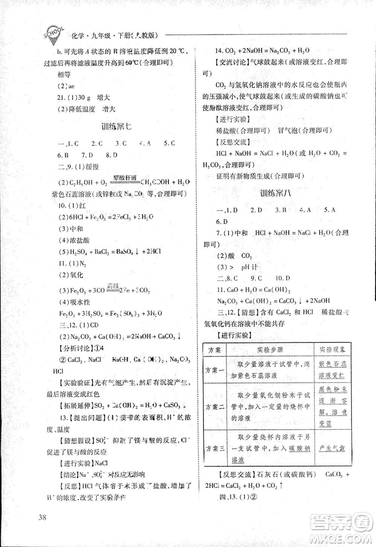 2019新課程問題解決導(dǎo)學(xué)方案九年級下冊化學(xué)人教版答案