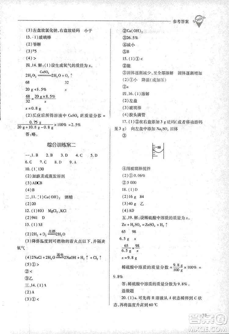 2019新課程問題解決導(dǎo)學(xué)方案九年級下冊化學(xué)人教版答案