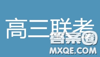 衡水2019年全國高三統(tǒng)一聯(lián)考2月文科數(shù)學(xué)參考答案