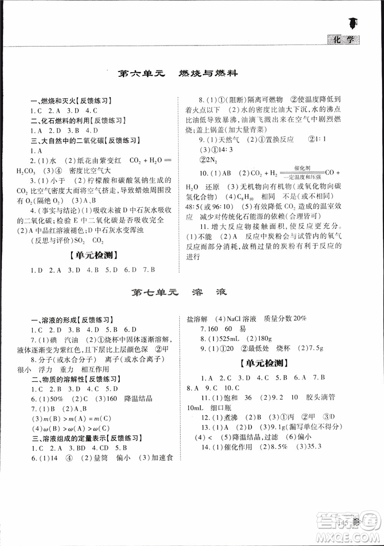 五四制2019年初中伴你學(xué)習(xí)新課程叢書九年級下冊化學(xué)魯教版參考答案