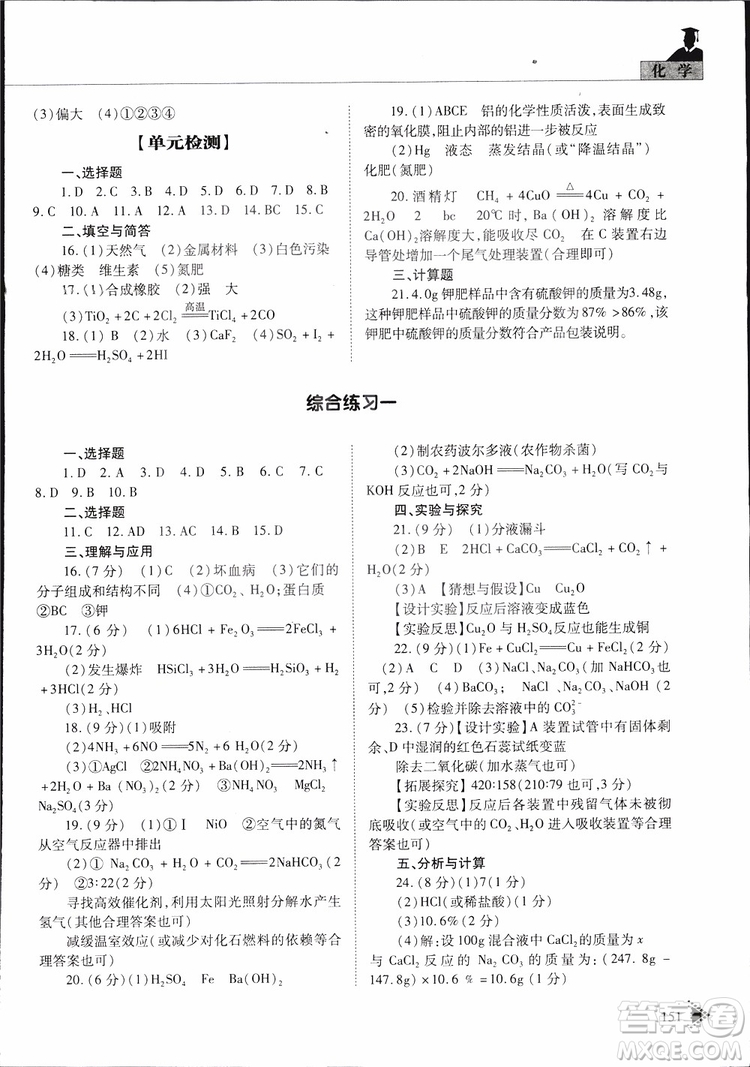 五四制2019年初中伴你學(xué)習(xí)新課程叢書九年級下冊化學(xué)魯教版參考答案