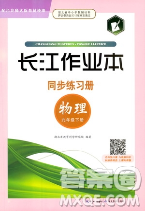 2019年長江作業(yè)本九年級下冊物理人教版同步練習冊參考答案