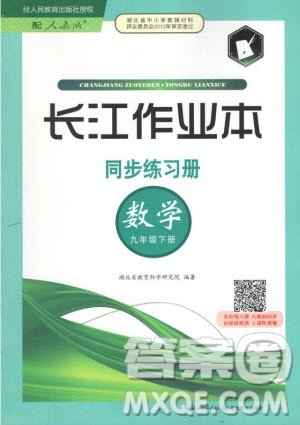 2019新版長江作業(yè)本同步練習冊九年級數(shù)學下冊人教版參考答案