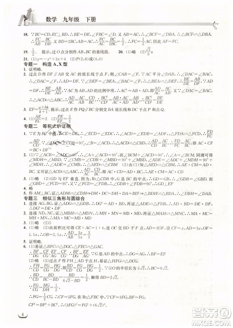 2019新版長江作業(yè)本同步練習冊九年級數(shù)學下冊人教版參考答案