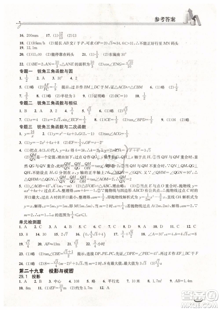 2019新版長江作業(yè)本同步練習冊九年級數(shù)學下冊人教版參考答案