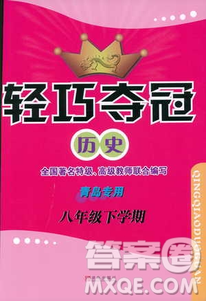 金博士2019年輕巧奪冠歷史八年級(jí)下冊(cè)人教版青島專用參考答案