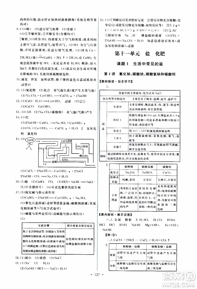 天舟文化2019版能力培養(yǎng)與測試九年級化學(xué)下冊人教版RJ版參考答案