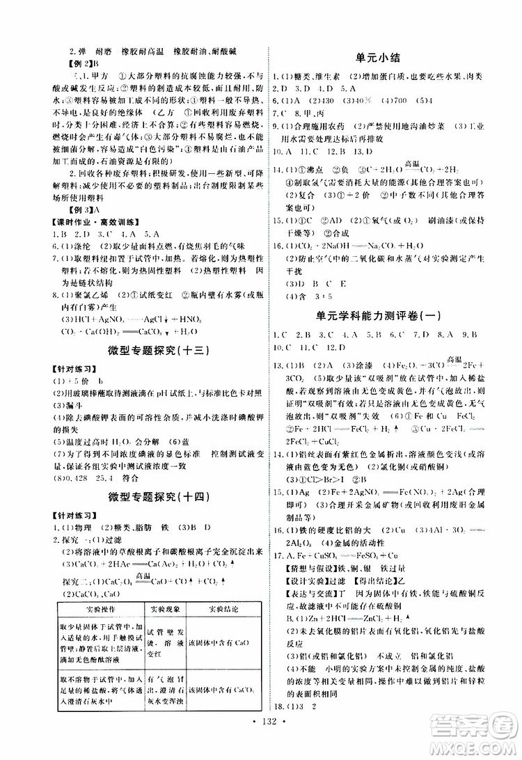 天舟文化2019版能力培養(yǎng)與測試九年級化學(xué)下冊人教版RJ版參考答案