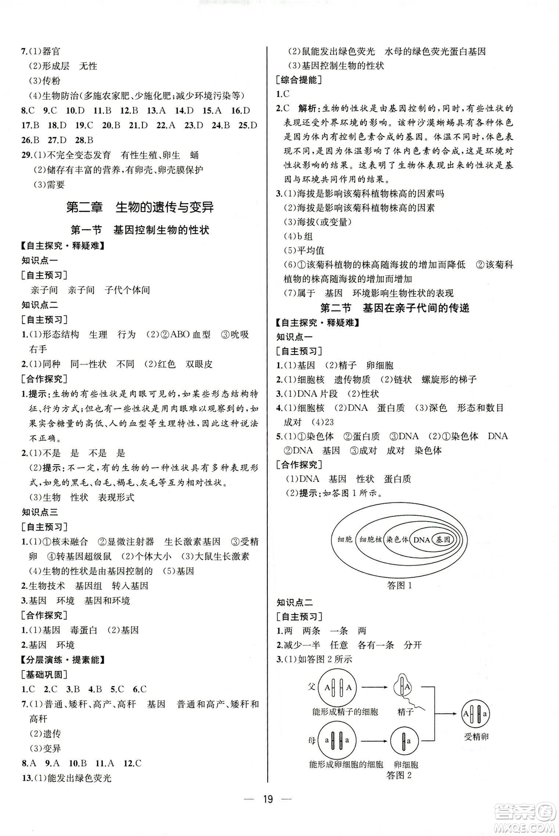 河北專版2019人教版八年級(jí)下冊(cè)生物學(xué)課時(shí)練同步學(xué)歷案答案