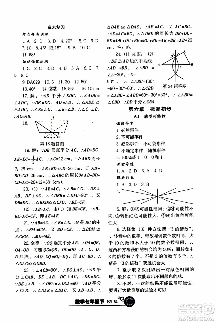 2019版尖子生新課堂課時作業(yè)七年級數(shù)學(xué)下冊BS版參考答案