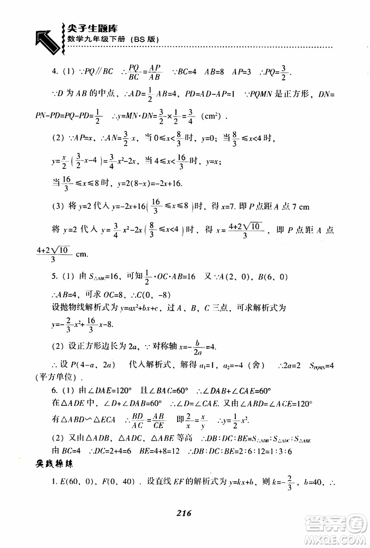 2019年尖子生題庫數(shù)學(xué)九年級(jí)下冊(cè)BS版北師版參考答案