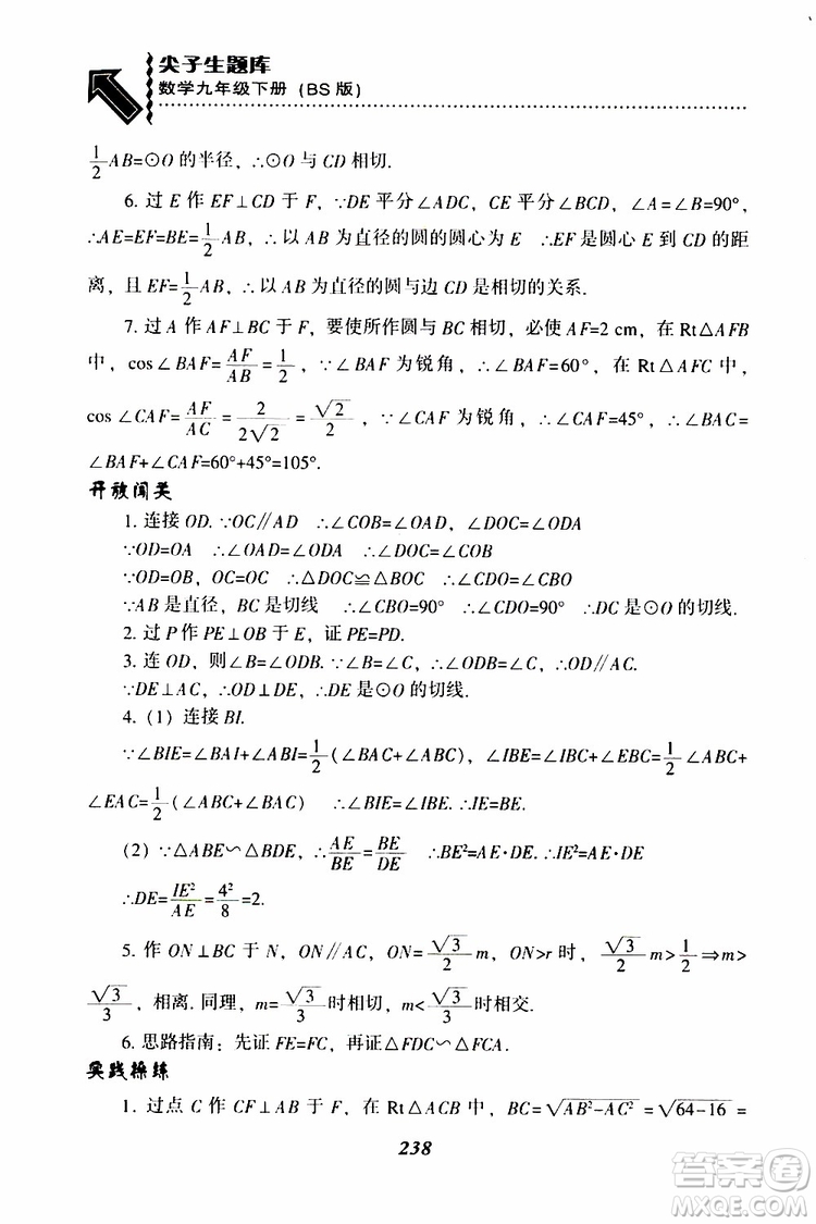 2019年尖子生題庫數(shù)學(xué)九年級(jí)下冊(cè)BS版北師版參考答案