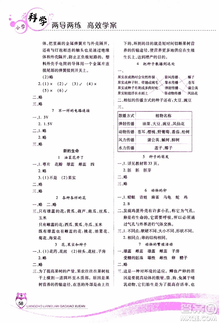 2019年新課標兩導(dǎo)兩練高效學(xué)案四年級科學(xué)科教版參考答案