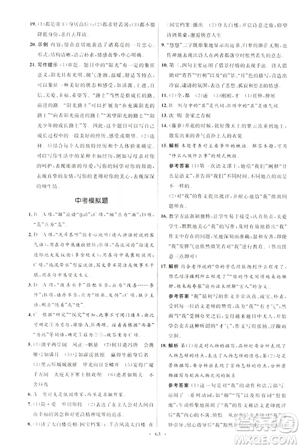 2019年初中同步學(xué)考優(yōu)化設(shè)計語文九年級下冊人教版答案