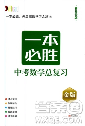 金版2019年一本必勝中考數(shù)學(xué)總復(fù)習(xí)青島專版參考答案