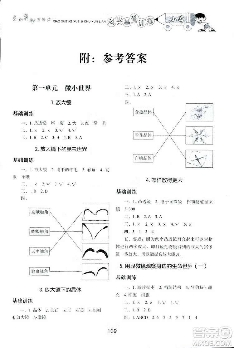 2019年小學(xué)基礎(chǔ)訓(xùn)練科學(xué)六年級下冊教科版參考答案