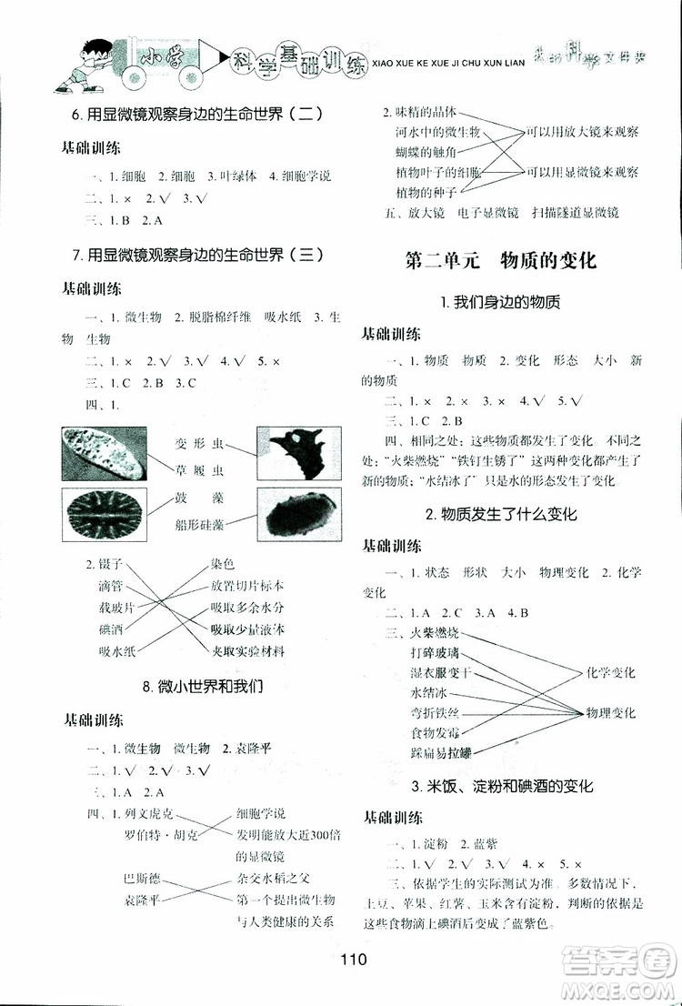 2019年小學(xué)基礎(chǔ)訓(xùn)練科學(xué)六年級下冊教科版參考答案