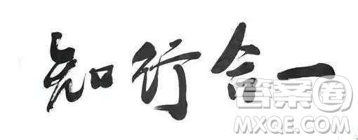 道雖邇不行不至事雖小不為作文800字 關(guān)于道雖邇不行不至事雖小不為不成作文