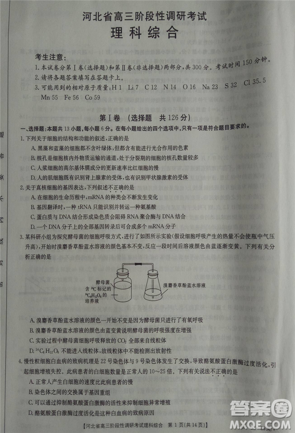 2019年河北省高三階段性調(diào)研考試四月聯(lián)考理綜試題及答案