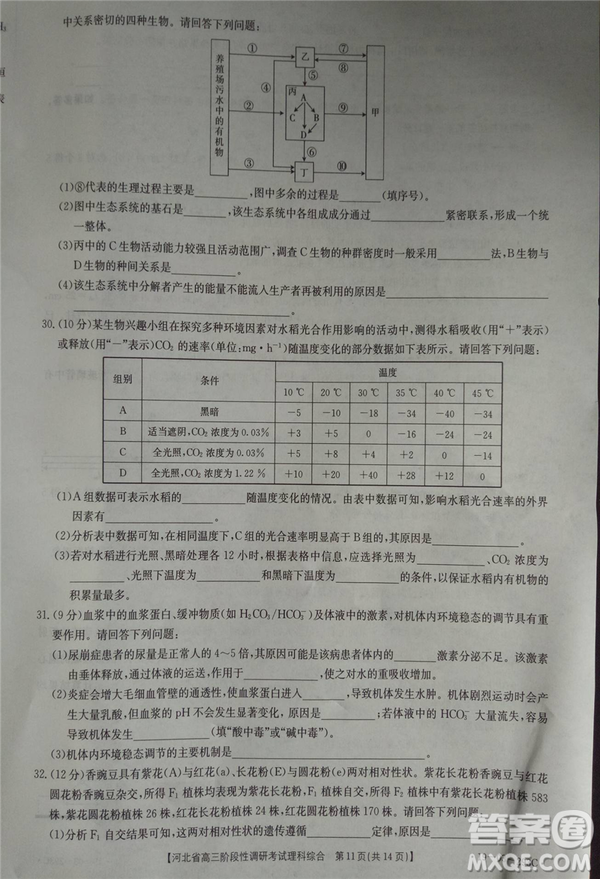 2019年河北省高三階段性調(diào)研考試四月聯(lián)考理綜試題及答案