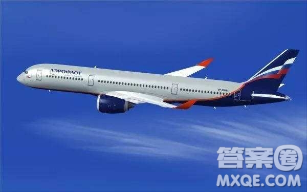 關(guān)于俄航客機迫降起火事故作文 關(guān)于俄航客機迫降起火乘客和空姐的行為思考議論文