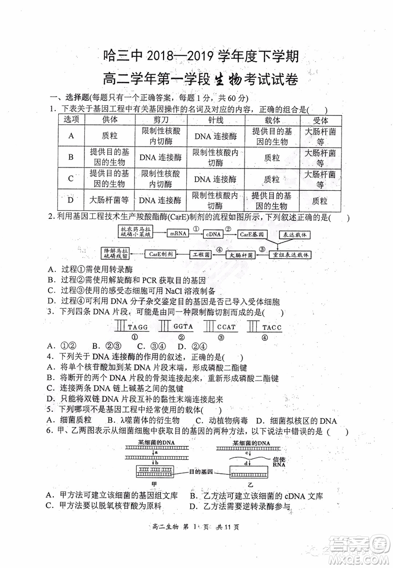 哈三中2018-2019學年度高二下學期第一學段考試理綜試卷及答案