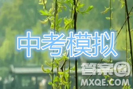 湖北省武漢市2019屆九年級中考數(shù)學(xué)調(diào)研試卷試題及答案