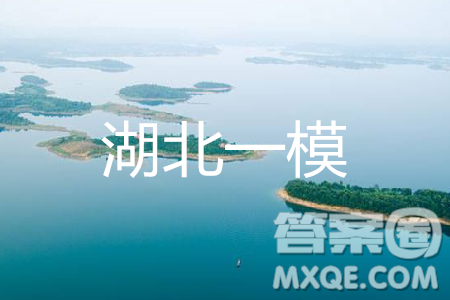 2019年湖北省高三招生全國統(tǒng)一考試模擬試題卷一理綜答案