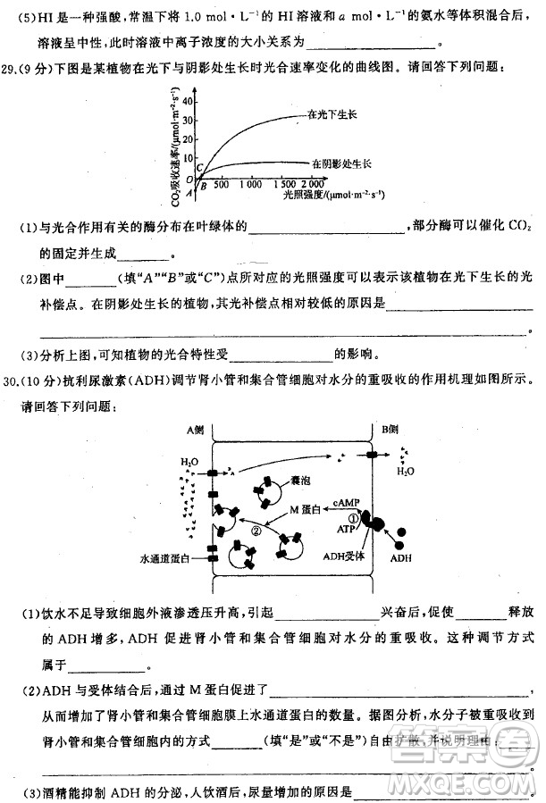 2019年衡水中學(xué)終極押題卷理綜試題及答案