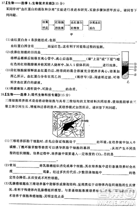 2019年衡水中學(xué)終極押題卷理綜試題及答案